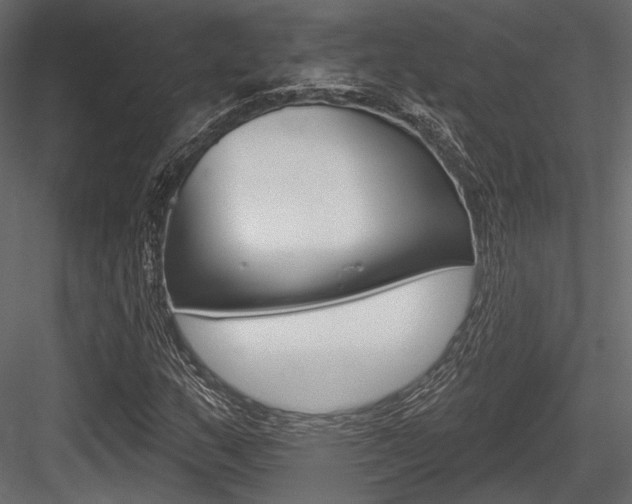 X0000084601159200702231028