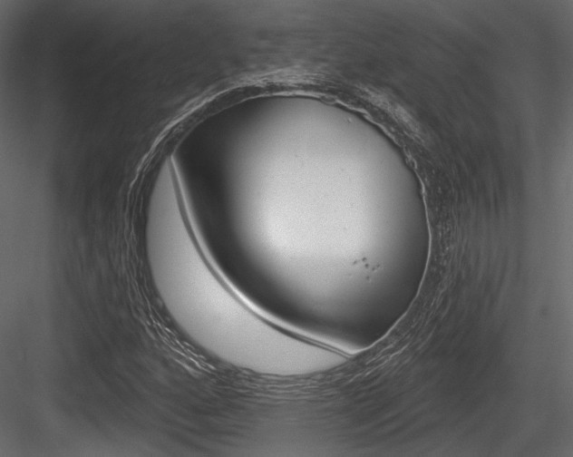 X0000084601160200702231028