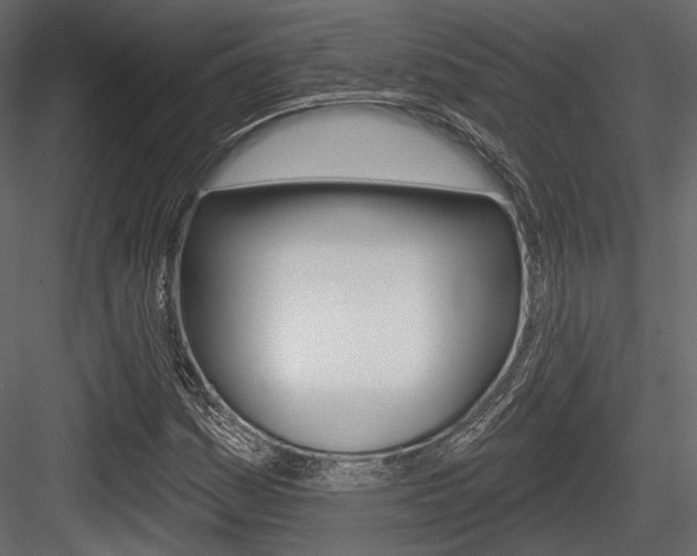 X0000084601161200702231028