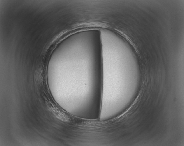 X0000084601163200702231028