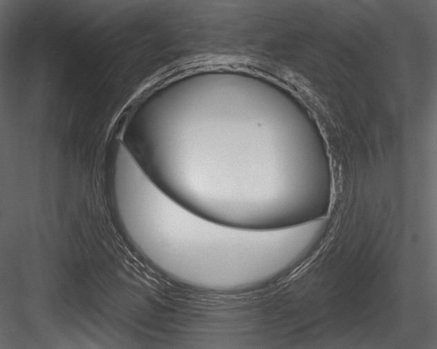 X0000084601165200702231028