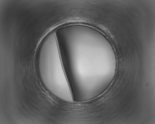 X0000084601167200702231028
