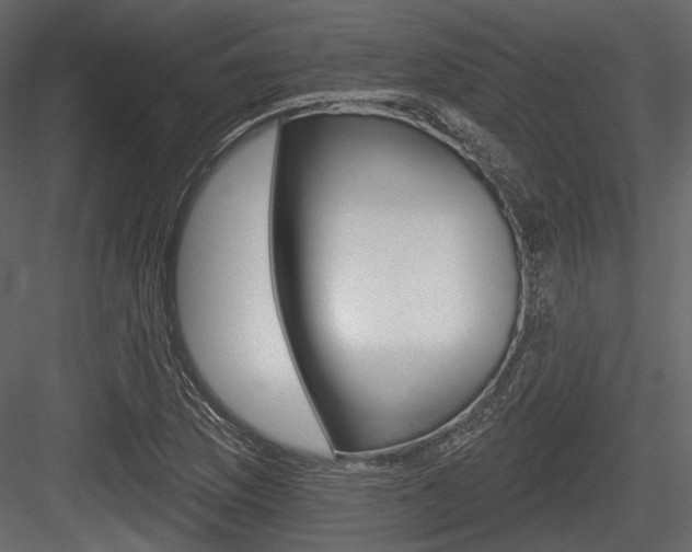 X0000084601169200702231028