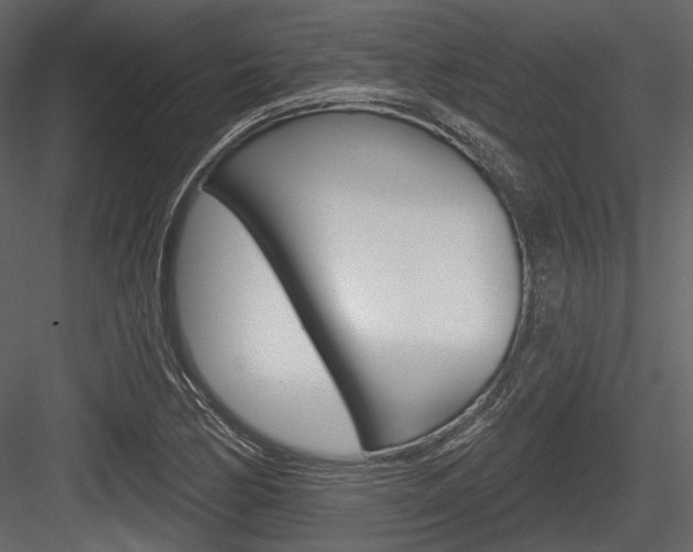 X0000084601170200702231028