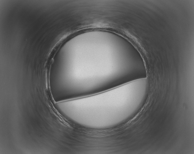 X0000084601171200702231028