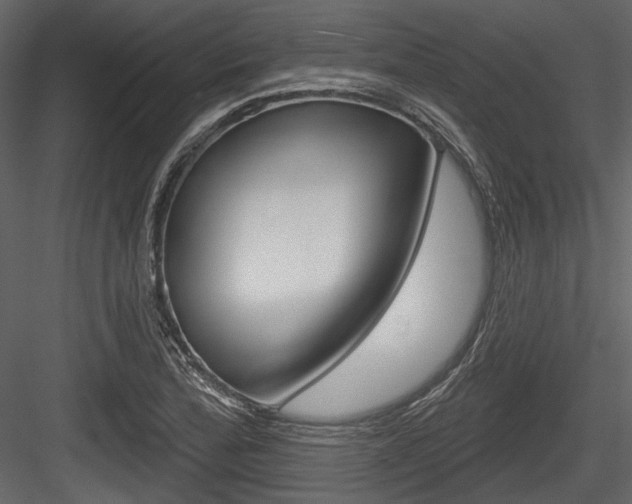 X0000084601172200702231028