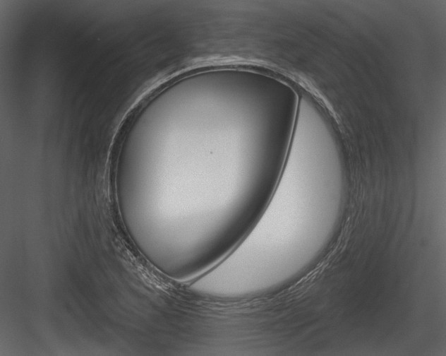 X0000084601173200702231028