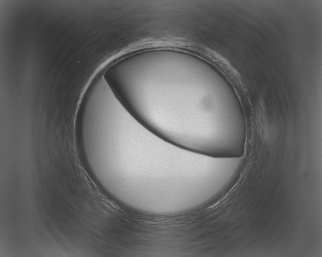 X0000084601174200702231028