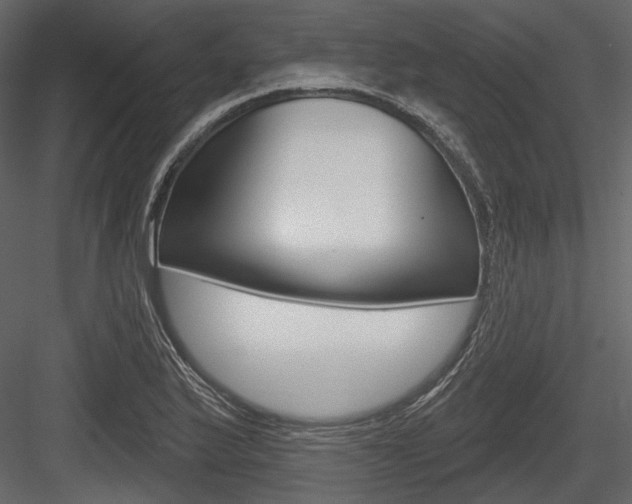 X0000084601175200702231028