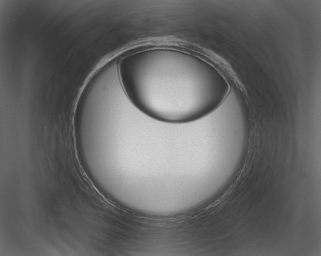 X0000084601176200702231028
