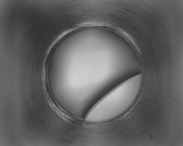 X0000084601179200702231028