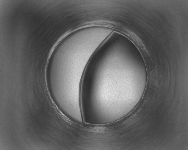 X0000084601180200702231028