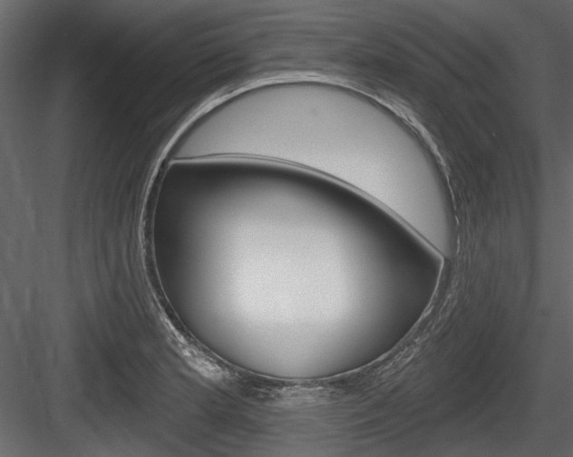 X0000084601181200702231028