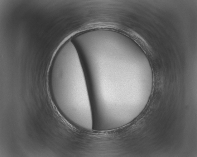 X0000084601182200702231028