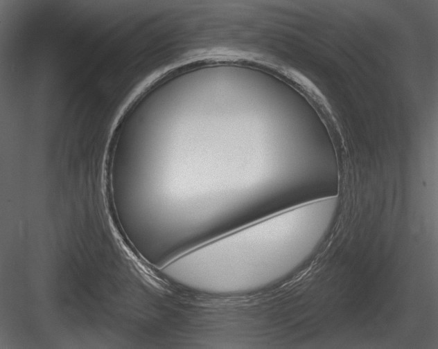 X0000084601183200702231028