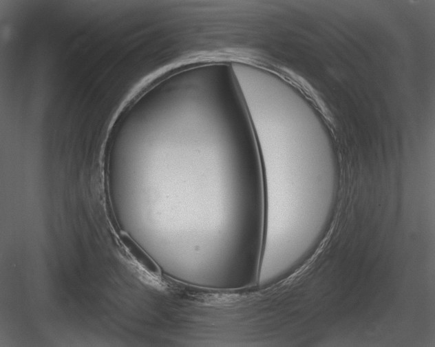 X0000084601184200702231028