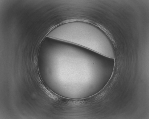 X0000084601185200702231028