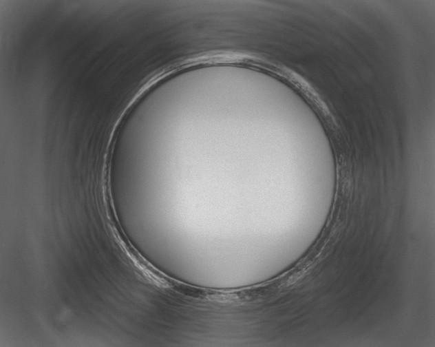 X0000084601186200702231028