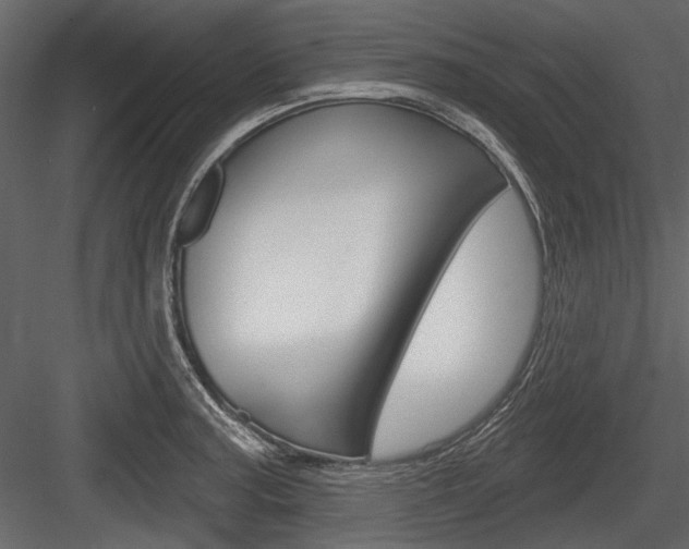 X0000084601187200702231028