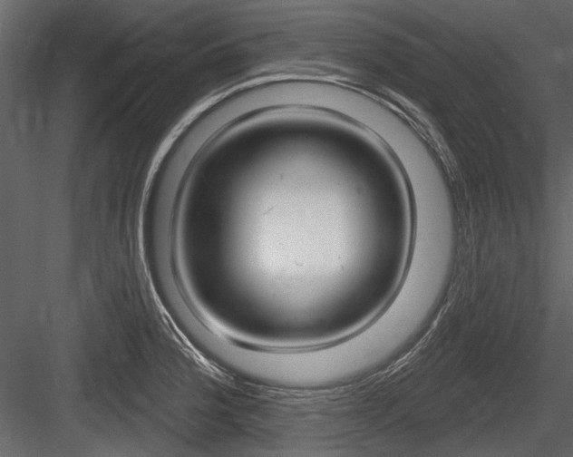 X0000084601188200702231028