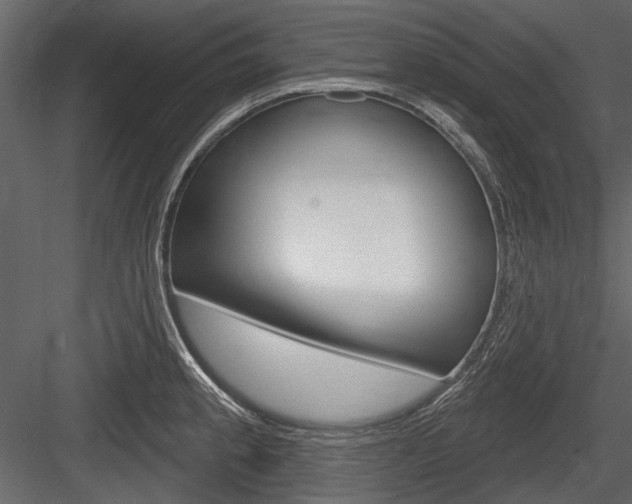 X0000084601189200702231028