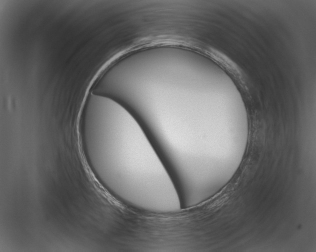 X0000084601190200702231028