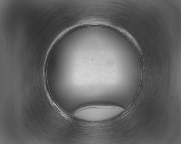 X0000084601191200702231028