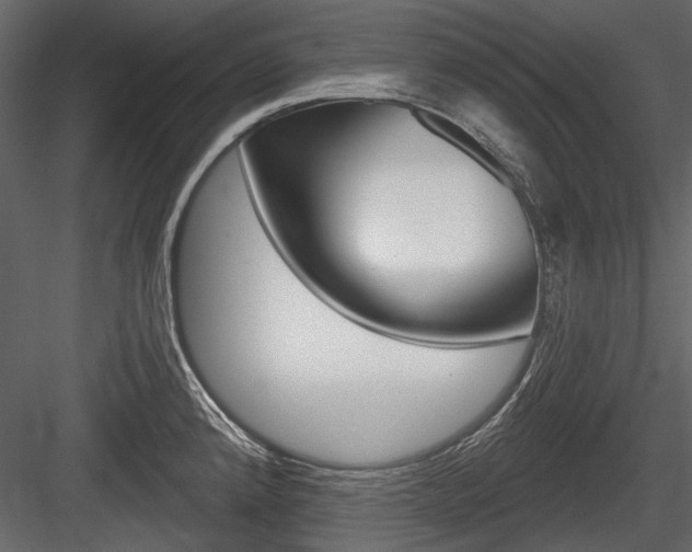 X0000084601192200702231028