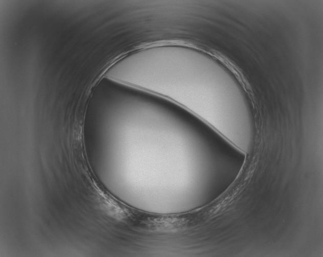 X0000084601193200702231028