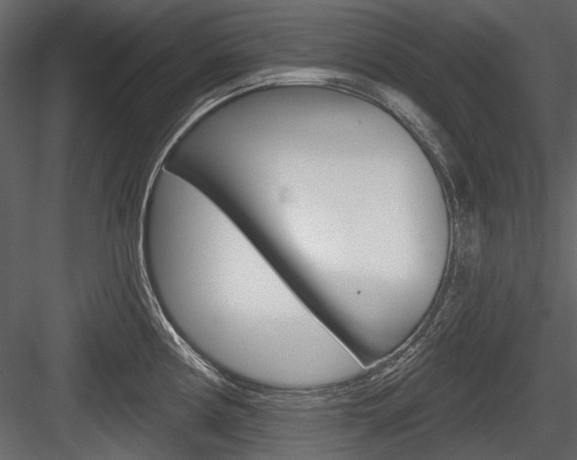 X0000084601194200702231028