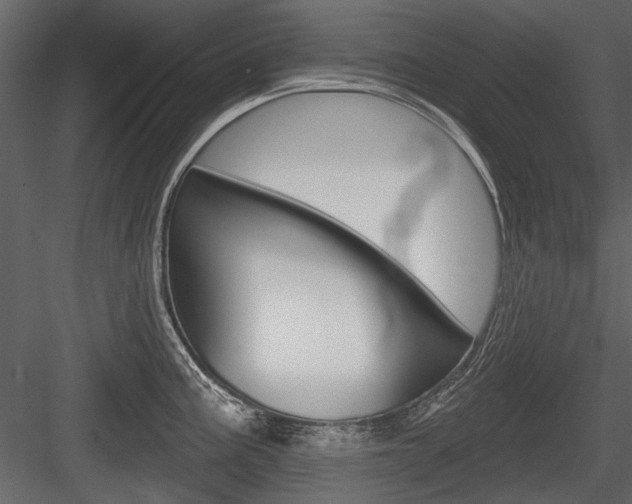 X0000084601195200702231028