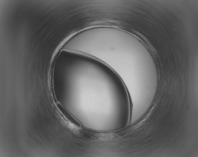 X0000084601196200702231028