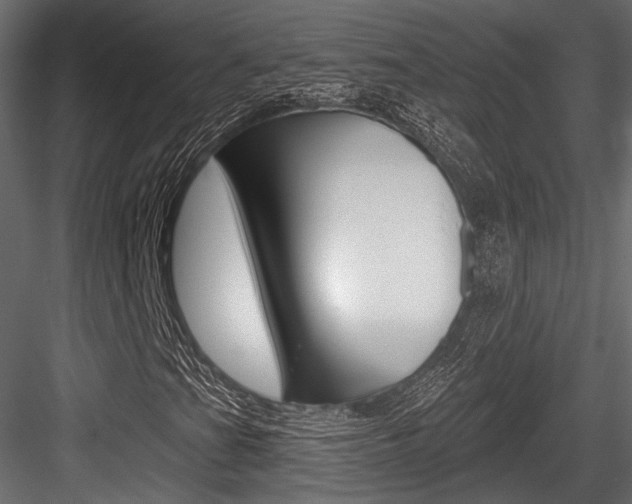 X0000084601201200702231027