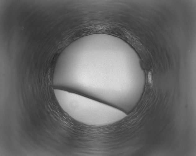 X0000084601203200702231027