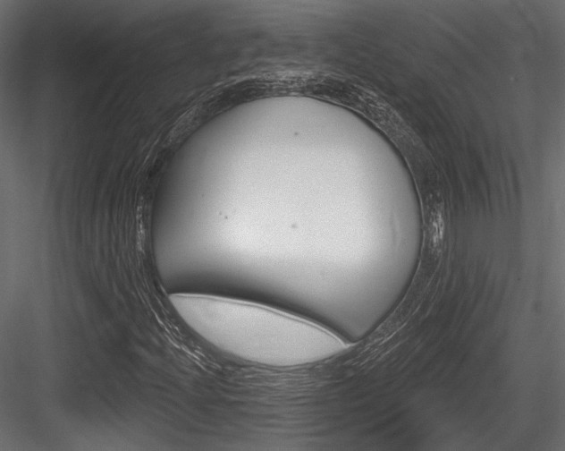 X0000084601204200702231027