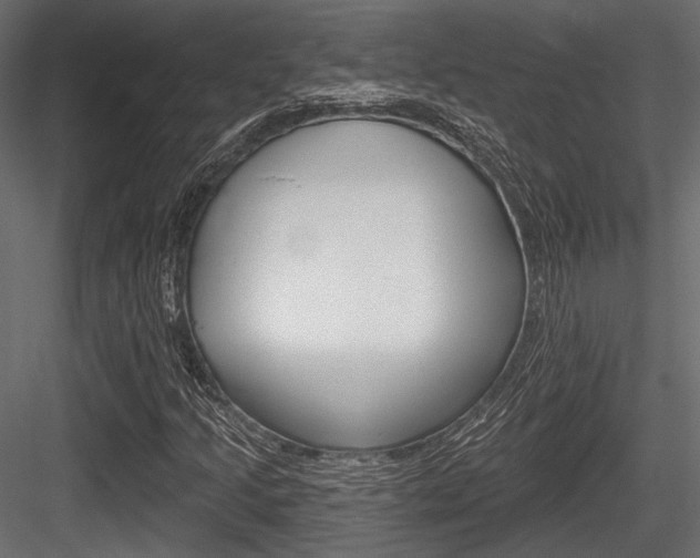 X0000084601205200702231027