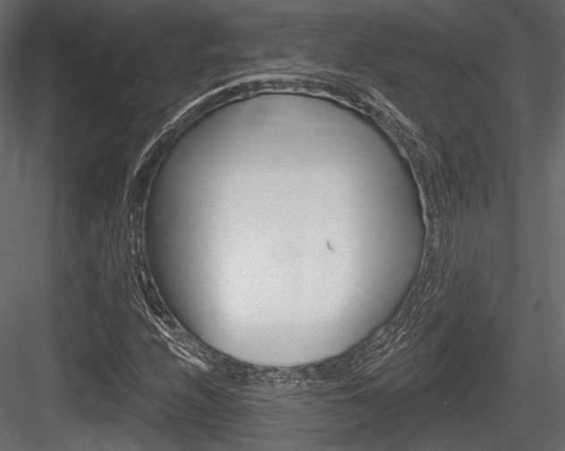 X0000084601208200702231027
