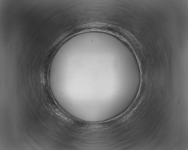 X0000084601209200702231027