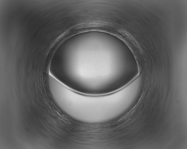 X0000084601210200702231027
