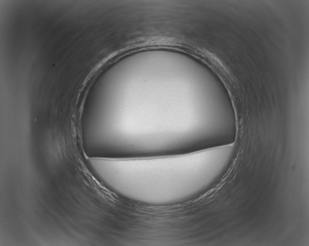 X0000084601212200702231027