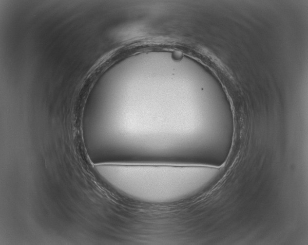 X0000084601213200702231027