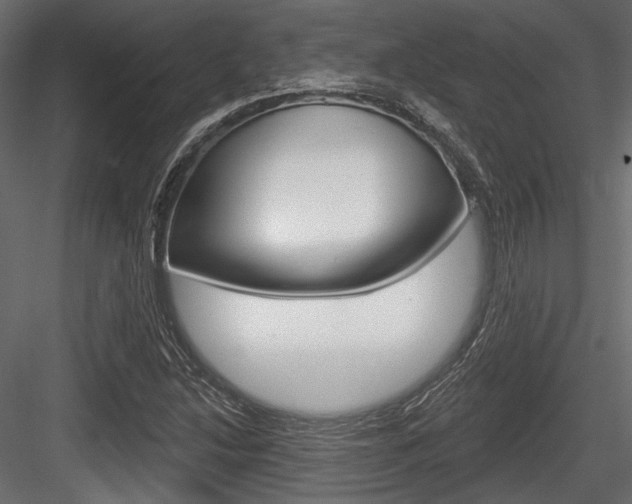 X0000084601214200702231027