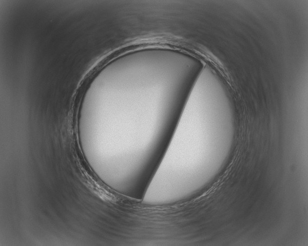 X0000084601216200702231027