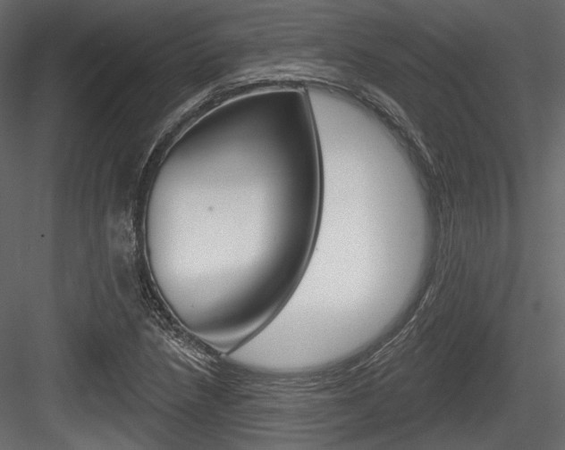 X0000084601218200702231027