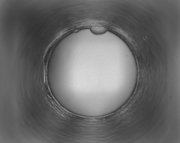 X0000084601219200702231027