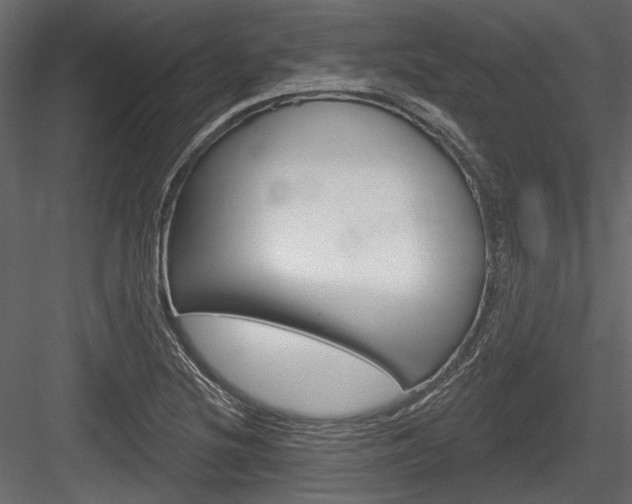 X0000084601220200702231027