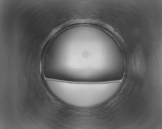 X0000084601221200702231027