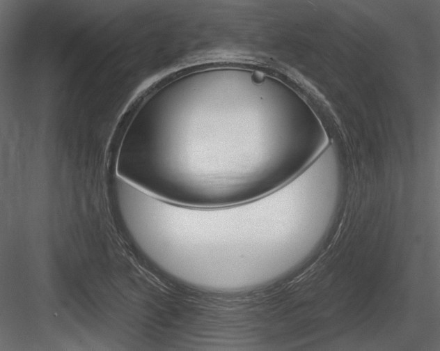 X0000084601222200702231027