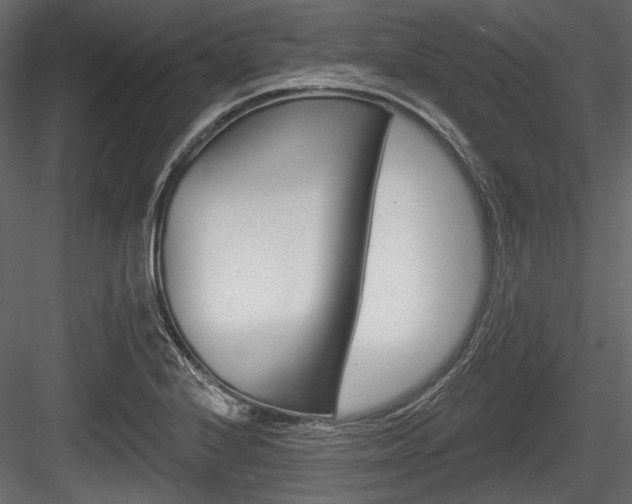 X0000084601224200702231027