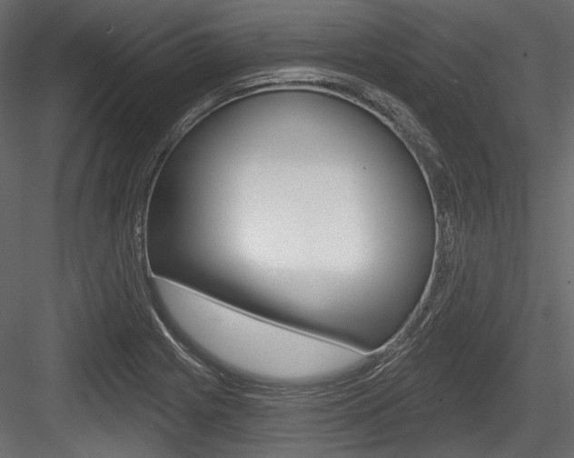 X0000084601225200702231027